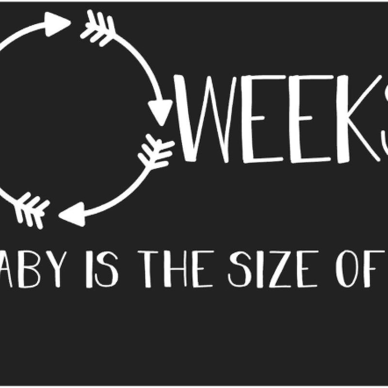 Pregnancy Weekly Signs - Etsy