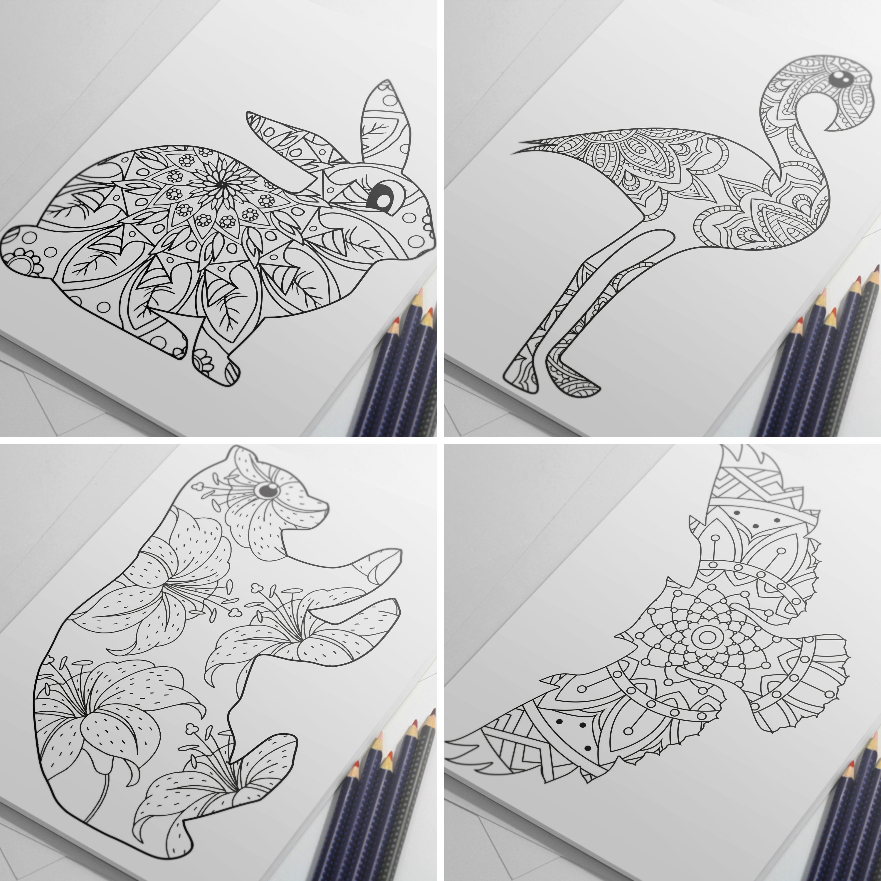 Download Coloring Book Postcards Of Animals And Birds Owl Coloring Etsy