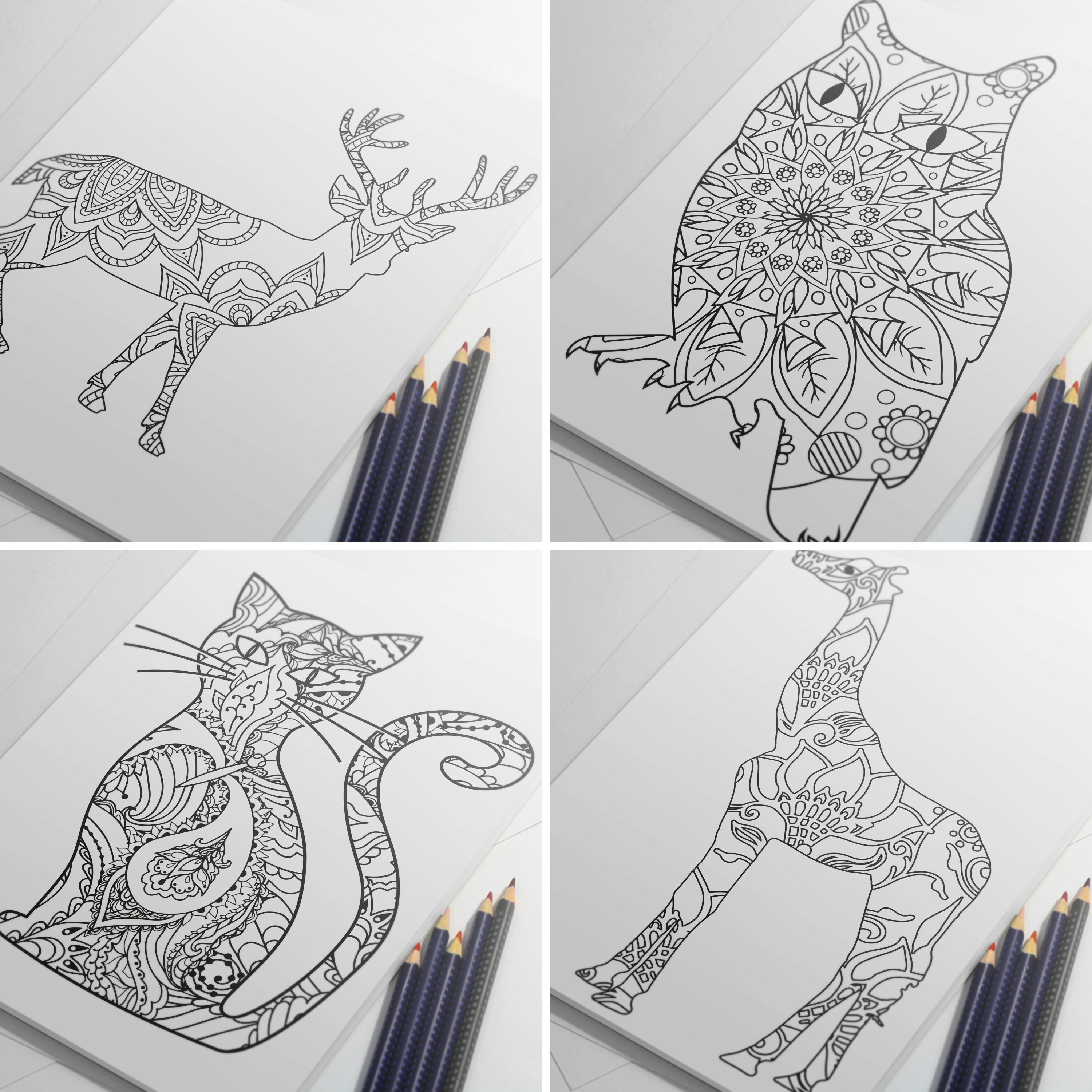 Animal Coloring Pages for Adults Owl Drawing Cat to Color - Etsy Animal Coloring Pages for Adults Owl Drawing Cat to Color - Etsy