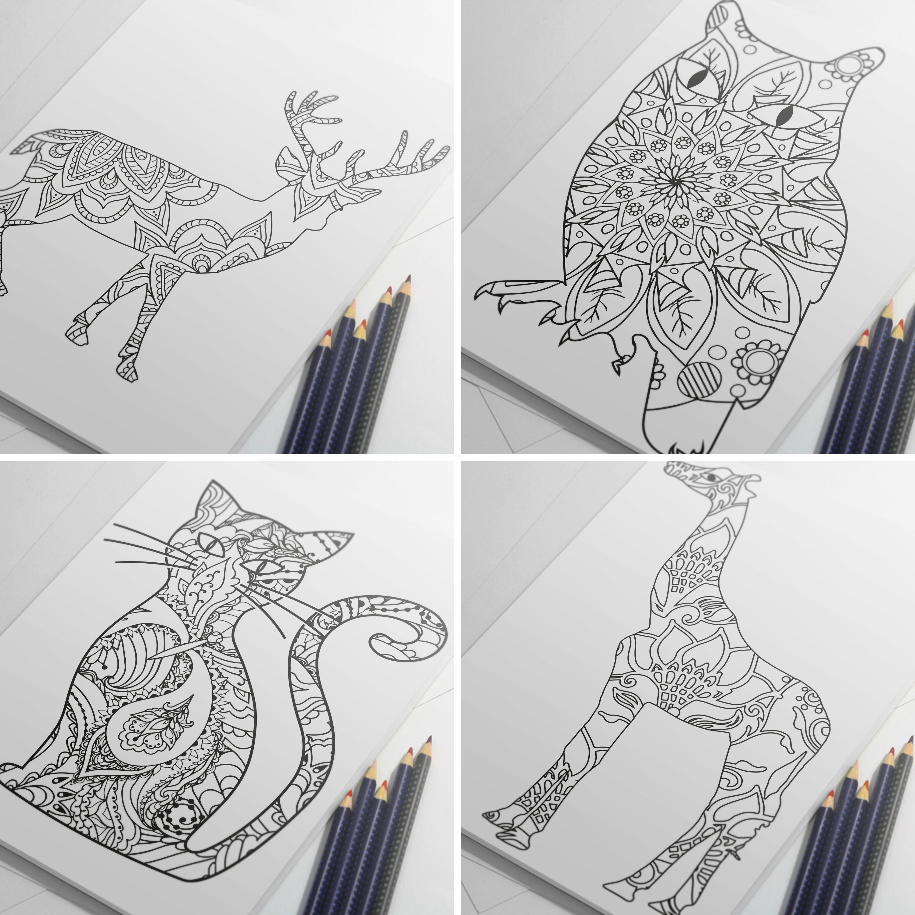 Animal Coloring Pages For Adults Owl Drawing Cat To Color Etsy