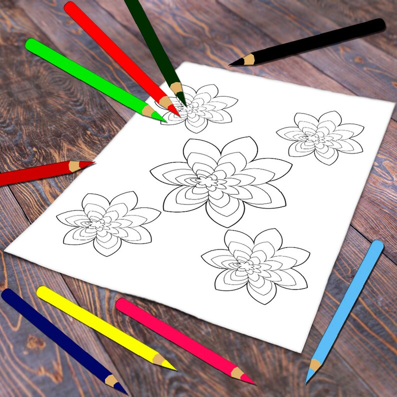 May include: A white paper with floral line art designs is surrounded by colorful pencils. Green, red, and black pencils are positioned as if coloring the flowers. Other pencils are scattered around the paper, including blue, yellow, and pink.