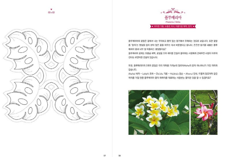 Mino'aka hawaiian quilt book by Miyu Terai Minoaka Etsy