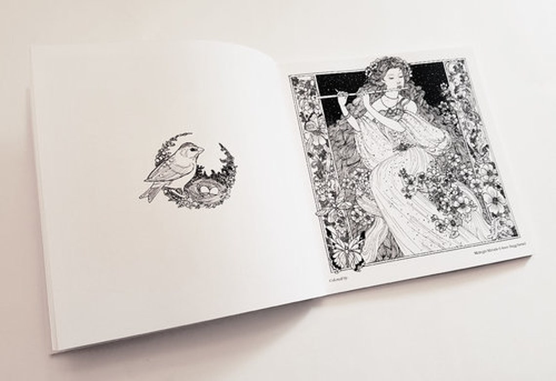The Moonlit Vale Coloring Book by Annie Stegg Gerard  Etsy