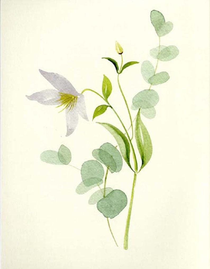 New Botanical Painting by Harriet de Winton Watercolor Etsy