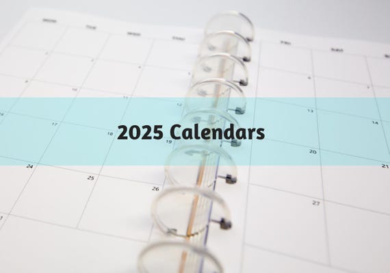 D012: 2025 Plain Monthly Calendar Bright White Paper 118 GSM 13 Sheets Disc Bound
