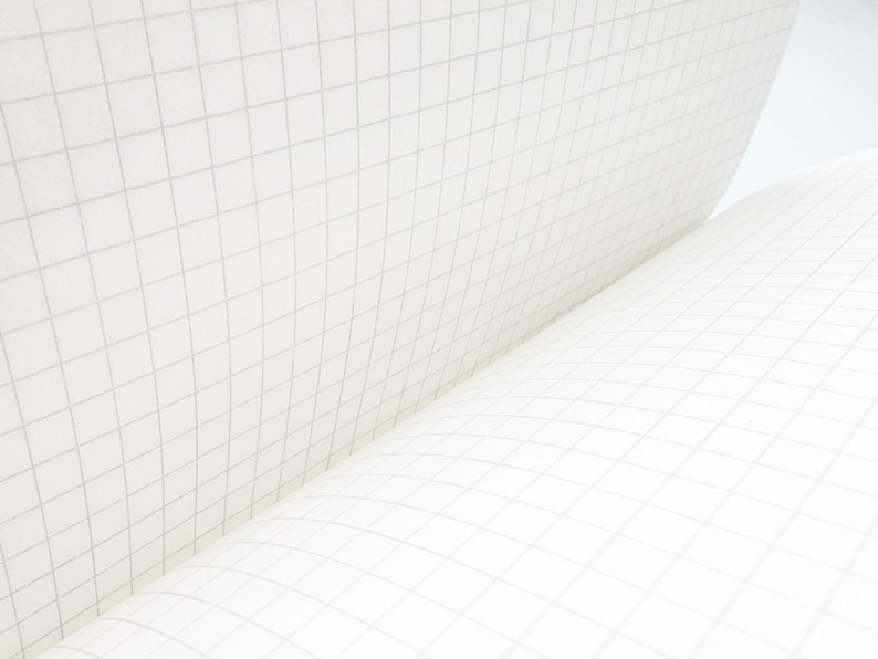 Puede incluir: Primer plano de un cuaderno con papel cuadriculado blanco. Las p&aacute;ginas est&aacute;n ligeramente curvadas, revelando el patr&oacute;n de la cuadr&iacute;cula. El papel es de un blanco brillante y las l&iacute;neas de la cuadr&iacute;cula son de color gris claro.