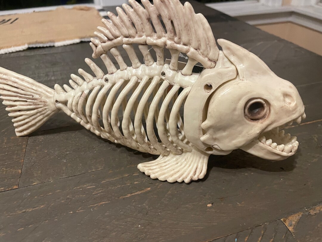 NEW Plastic Fish Skeleton With Moving Jaws Etsy