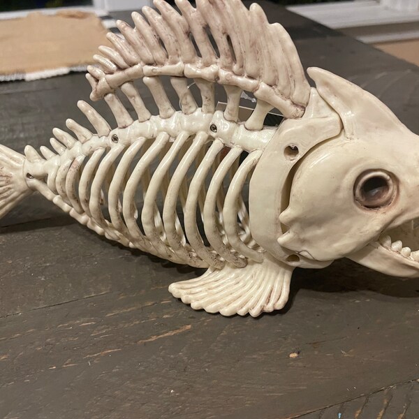Fish Skeleton Etsy