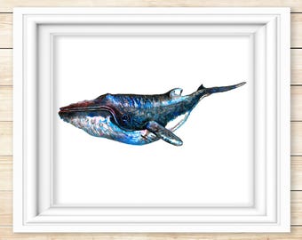 Blue Whale #2 Watercolor Print