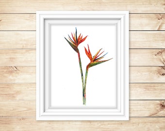 Bird of Paradise Flower Watercolor Print