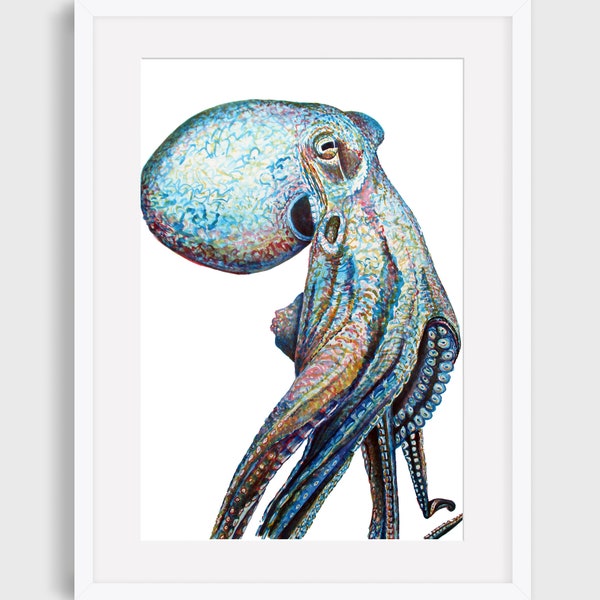 Octopus #8
