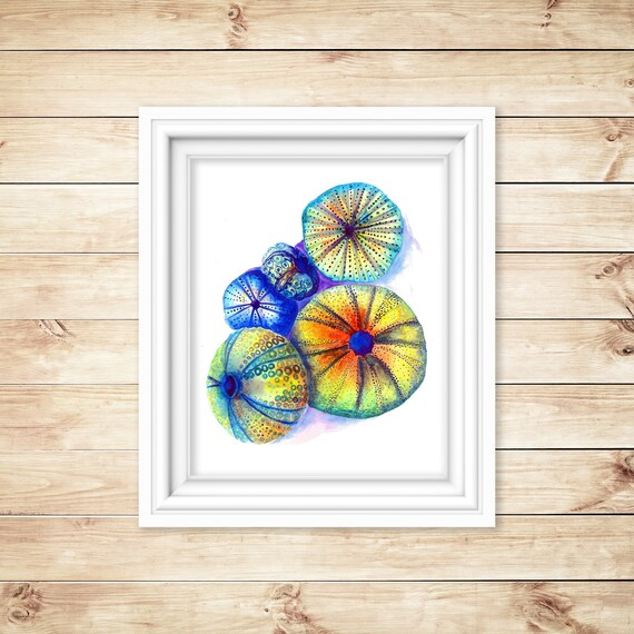 Sea Urchins 1 Watercolor Print Etsy