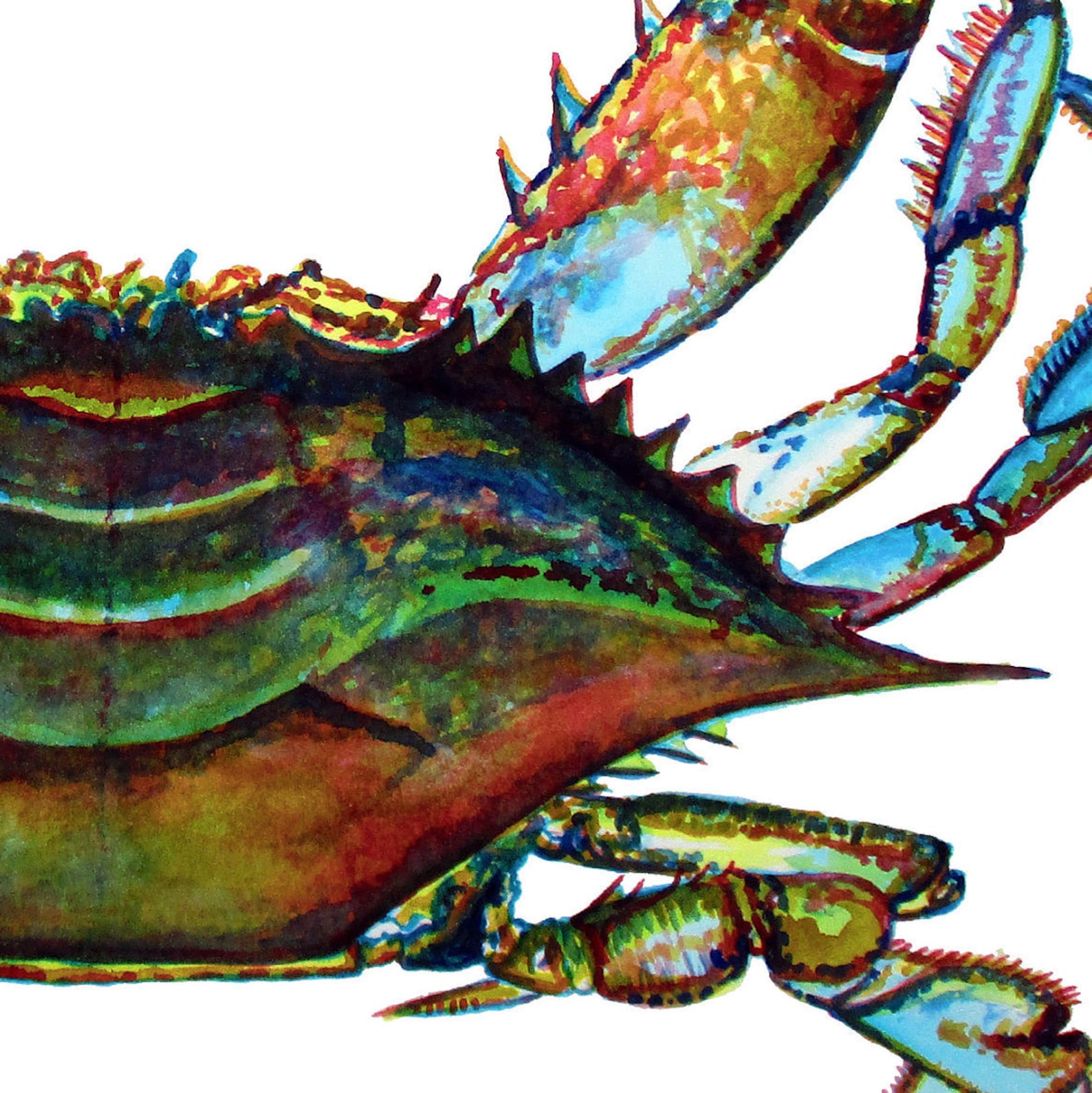Chesapeake Bay Blue Crab - Etsy