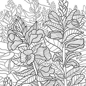 Coloriage fleurs et oiseaux  Etsy