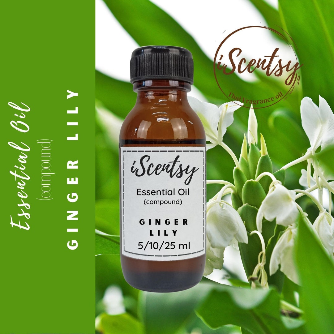 Thai Pure & Natural Essential Oil Ginger Lily Essential Oil Etsy