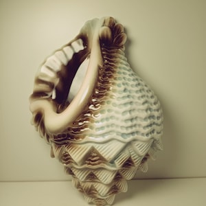 Vintage Seashell Wall Pocket Vase