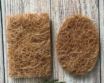 Coconut Soap Saver, Soap Dish