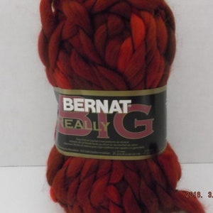 Bernat Really Big yarn. Two colors, Grand Canyon and Morocco. image 4