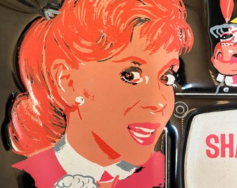 Excellent condition for Vintage Shari Lewis and Friends black Vinyl Lunchbox, 1963 Tarcher,  Aladdin Industries Inc., Nashville, TENN., USA