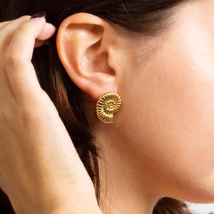 May include: Gold-colored stud earrings with a spiral design, resembling a seashell. The earrings are worn on the ear, and the image is a close-up of the jewelry. The earrings have a polished finish and reflect light.