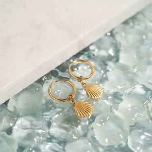 May include: A pair of gold-colored hoop earrings with seashell charms. The earrings are displayed on a surface with a light blue and white color scheme, with a marble-like texture.