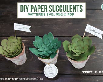 Download 3d Svg Succulents Etsy
