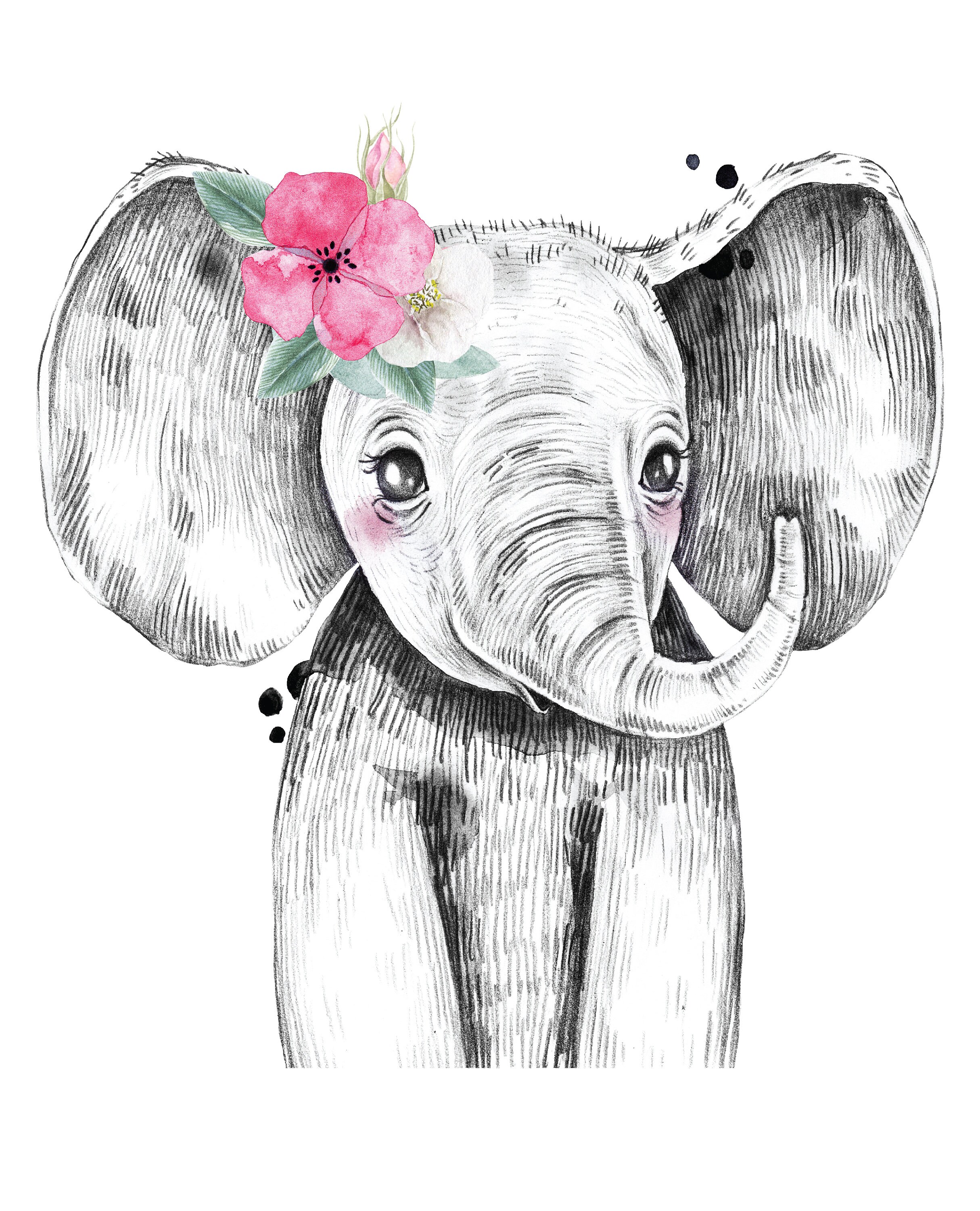 Nursery Decor Safari Nursery Decor Flower Nursery Decor Etsy Canada