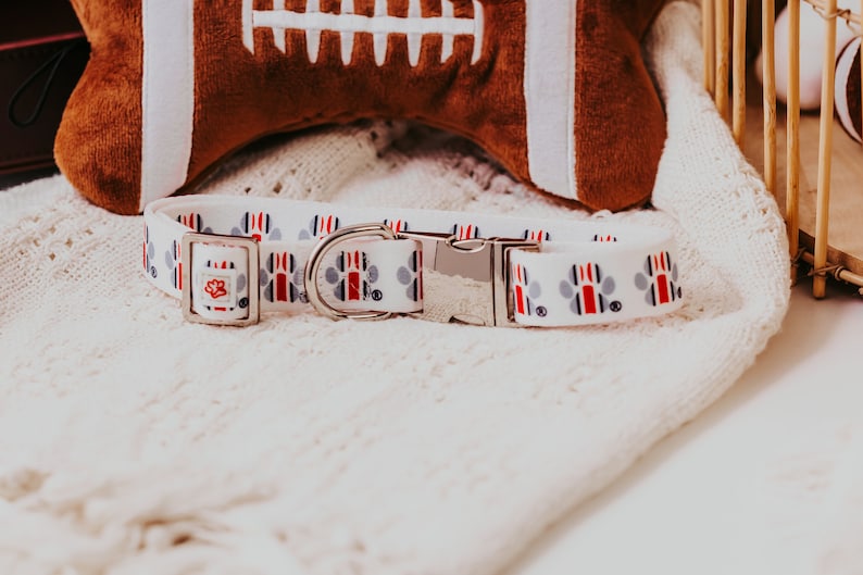 May include: White dog collar with red, white and blue paw prints and a silver buckle.