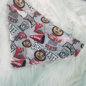 Over the Collar Dog Bandana, The Ohio State University Slips On Collar Pet Scarf, Brutus Buckeye Bandana, OSU Pet bandana, Dog Accessory