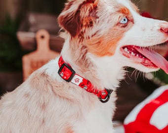 May include: A red and white dog collar with a paw print design. The collar is made of durable nylon and has a metal buckle and D-ring. The collar is shown on a dog with white and brown fur.