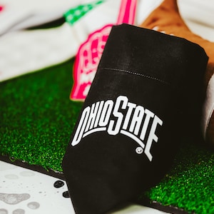 Hondenbandana Ohio State: huisdierensjaal over de kraag