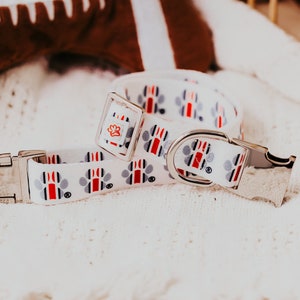 May include: White dog collar with red, blue and grey paw prints. The collar has a silver buckle and a silver D-ring.