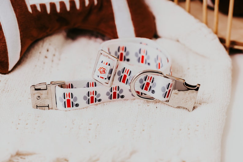 May include: White dog collar with red, blue and grey paw prints. The collar has a silver buckle and a silver D-ring.
