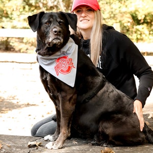 Ohio State Buckeyes hondenbandana: huisdierensjaal over de kraag