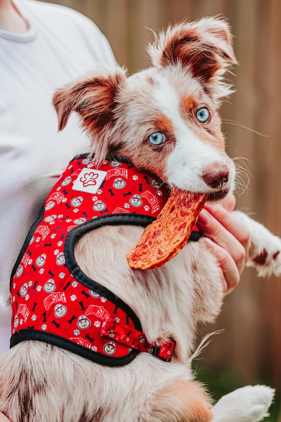 Ohio State Brutus Buckeye Pet Harness Game Day Dog Accessories Etsy