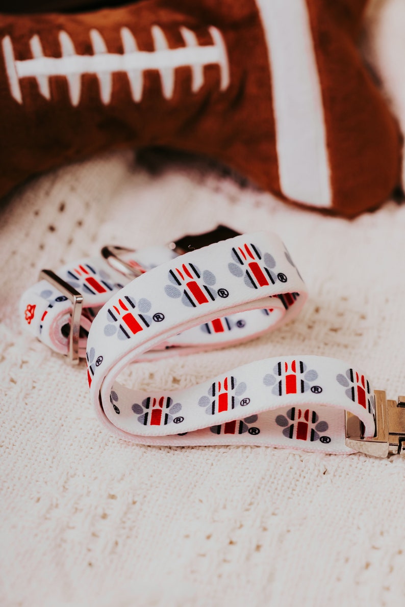 May include: White dog collar with red, blue and grey paw prints. The collar has a silver buckle and is lying on a white crocheted surface.