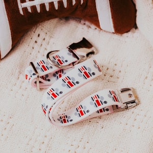 May include: A white dog collar with red, blue and grey paw prints. The collar has a silver buckle and a silver D-ring.