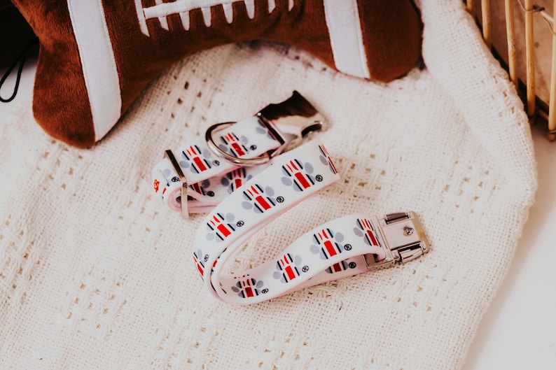 May include: A white dog collar with red, blue and grey paw prints. The collar has a silver buckle and a silver D-ring.