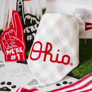 Over the Collar Dog Bandana, The Ohio State University Script Ohio Slip On Pet Scarf, Brutus Buckeye Bandana, OSU Pet bandana, Dog Accessory image 3