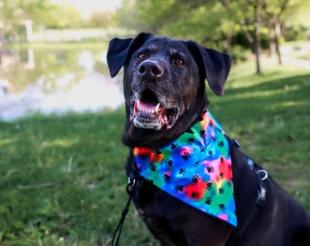 Pañuelo para perro con diseño de patas teñidas de arcoíris que se coloca en el collar existente.