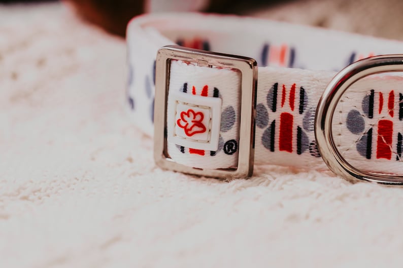 May include: White dog collar with a silver buckle and paw print design. The collar has red, blue and grey accents.