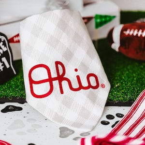 May include: White dog bandana with a red "Ohio" logo. The bandana has a gray and white checkered pattern.