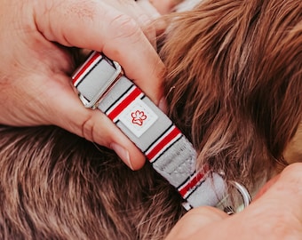 May include: A grey dog collar with red and black stripes and a paw print design. The collar is being fastened around a dog's neck. The collar has a silver metal buckle.