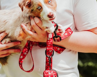 Ohio State Buckeye Brutus Dog Leash: Stylish Team Spirit for Your Furry Fan!