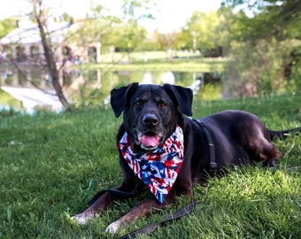 Patriotic Over the Collar Dog Bandana that Slips onto their Existing Collar.