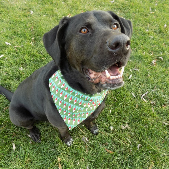 premier dog bandanas