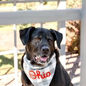 May include: A black Labrador Retriever wearing a white and gray bandana with the word "Ohio" in red lettering. The dog is sitting on a wooden deck with a white railing in the background.