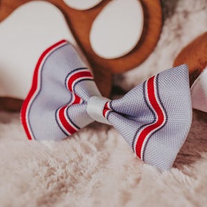 May include: A light blue bow tie with red and white stripes. The bow tie is made of a soft, textured fabric.