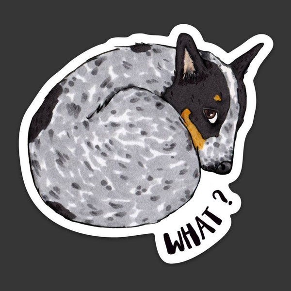 Cattle Dog Magnet, 3-inch Fridge Magnet "Blue Heeler WHAT?"