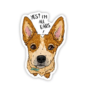 May include: A cartoon illustration of a brown and white Australian Cattle Dog with big ears looking up at the camera. The dog has a green tag that says "Smol" around its neck. The text "YES? I'M ALL EARS" is above the dog.
